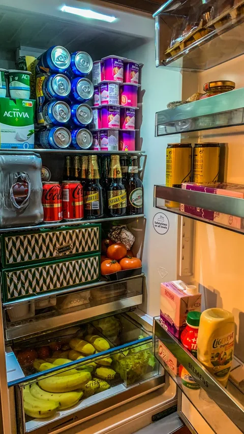 What's in My Fridge scan screen